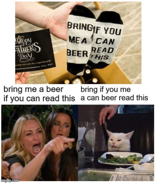 The cat's always right in these situations | image tagged in beer,cat | made w/ Imgflip meme maker