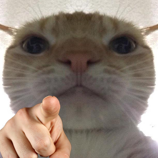 cat pointing finger