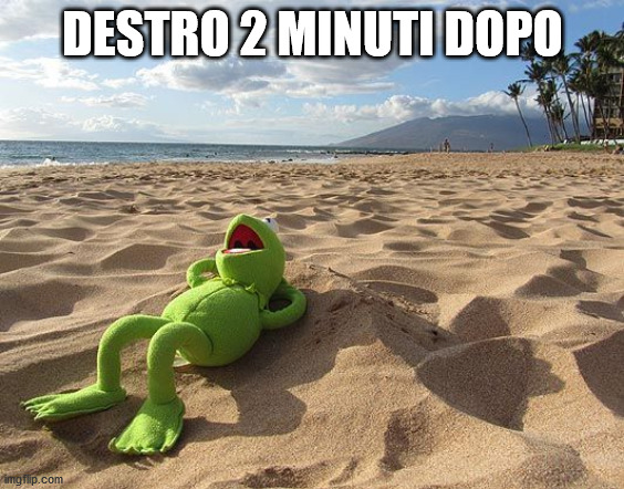 kermit on beach | DESTRO 2 MINUTI DOPO | image tagged in kermit on beach | made w/ Imgflip meme maker