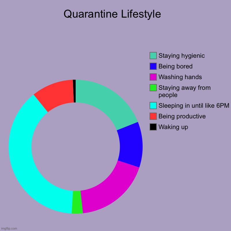 Quarantine Lifestyle  | Waking up, Being productive, Sleeping in until like 6PM, Staying away from people, Washing hands, Being bored, Stayi | image tagged in charts,donut charts | made w/ Imgflip chart maker