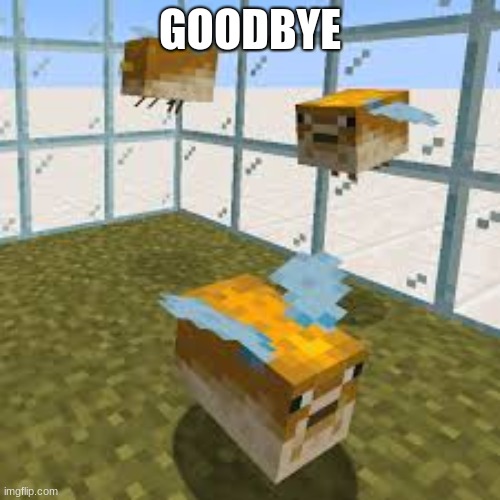 GOODBYE | image tagged in minecraft | made w/ Imgflip meme maker