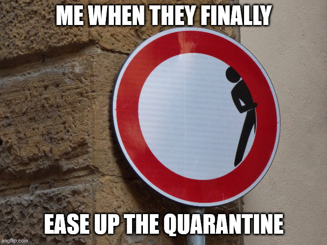 Peek-a-boo | ME WHEN THEY FINALLY; EASE UP THE QUARANTINE | image tagged in funny sign,sign,funny signs,signs | made w/ Imgflip meme maker