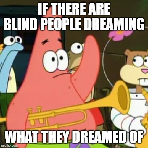 blind people | IF THERE ARE BLIND PEOPLE DREAMING; WHAT THEY DREAMED OF | image tagged in memes,no patrick | made w/ Imgflip meme maker