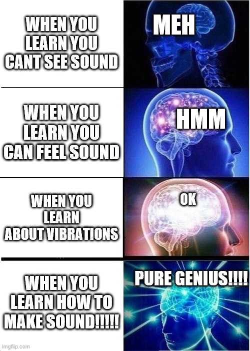 SCHOOL SOUND LEARNING | WHEN YOU LEARN YOU CANT SEE SOUND; MEH; WHEN YOU LEARN YOU CAN FEEL SOUND; HMM; WHEN YOU LEARN ABOUT VIBRATIONS; OK; PURE GENIUS!!!! WHEN YOU LEARN HOW TO MAKE SOUND!!!!! | image tagged in memes,expanding brain | made w/ Imgflip meme maker