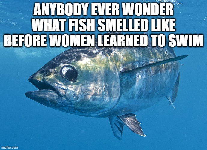 Tuna fish | ANYBODY EVER WONDER WHAT FISH SMELLED LIKE BEFORE WOMEN LEARNED TO SWIM | image tagged in tuna fish,funny,memes,funny memes,lmao | made w/ Imgflip meme maker