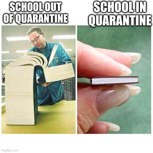 smort | SCHOOL IN QUARANTINE; SCHOOL OUT OF QUARANTINE | image tagged in big book vs little book | made w/ Imgflip meme maker