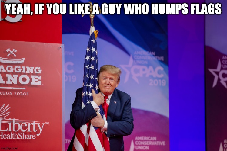 Trump Flag | YEAH, IF YOU LIKE A GUY WHO HUMPS FLAGS | image tagged in trump flag | made w/ Imgflip meme maker