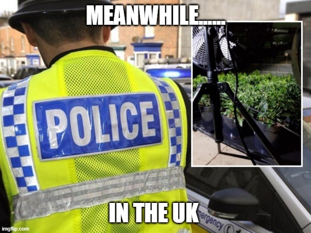 Meanwhile in the UK | MEANWHILE...... IN THE UK | image tagged in police officer,arrest,weed,uk,2020 | made w/ Imgflip meme maker