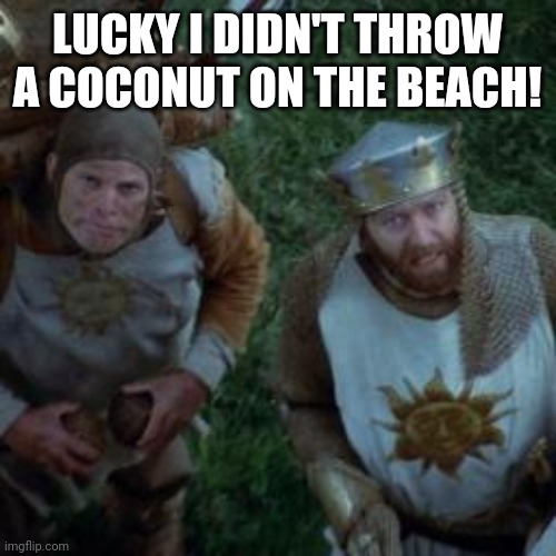 Monty Python Coconuts | LUCKY I DIDN'T THROW A COCONUT ON THE BEACH! | image tagged in monty python coconuts | made w/ Imgflip meme maker