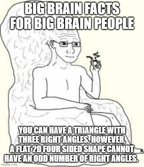 Big Brain Wojak | BIG BRAIN FACTS FOR BIG BRAIN PEOPLE; YOU CAN HAVE A TRIANGLE WITH THREE RIGHT ANGLES. HOWEVER, A FLAT 2D FOUR SIDED SHAPE CANNOT HAVE AN ODD NUMBER OF RIGHT ANGLES. | image tagged in big brain wojak | made w/ Imgflip meme maker