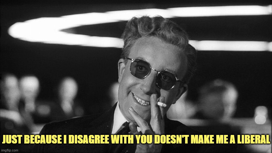 Doctor Strangelove says... | JUST BECAUSE I DISAGREE WITH YOU DOESN'T MAKE ME A LIBERAL | image tagged in doctor strangelove says | made w/ Imgflip meme maker