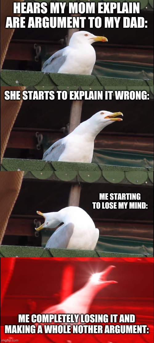 Inhaling Seagull Meme | HEARS MY MOM EXPLAIN ARE ARGUMENT TO MY DAD:; SHE STARTS TO EXPLAIN IT WRONG:; ME STARTING TO LOSE MY MIND:; ME COMPLETELY LOSING IT AND MAKING A WHOLE NOTHER ARGUMENT: | image tagged in memes,inhaling seagull | made w/ Imgflip meme maker