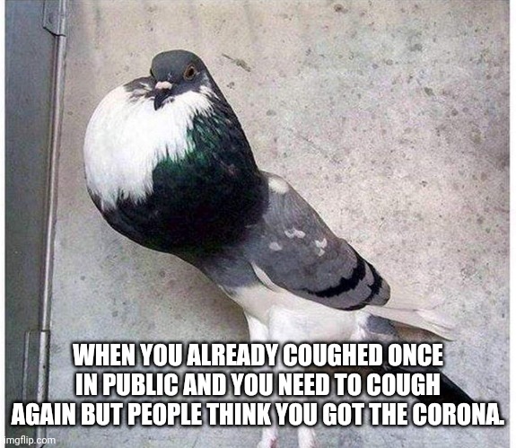 Corona cough. | WHEN YOU ALREADY COUGHED ONCE IN PUBLIC AND YOU NEED TO COUGH AGAIN BUT PEOPLE THINK YOU GOT THE CORONA. | image tagged in cough corona | made w/ Imgflip meme maker