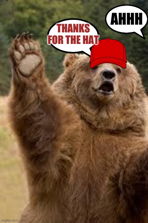 A bear with a hat | AHHH; THANKS FOR THE HAT | image tagged in grizzly bear | made w/ Imgflip meme maker