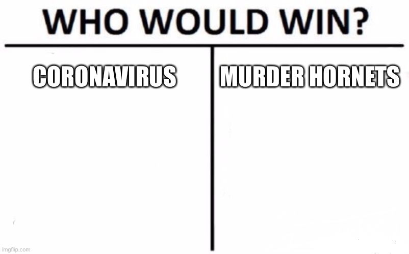 Tell me, who do you think would win? | CORONAVIRUS; MURDER HORNETS | image tagged in memes,who would win,coronavirus,murder hornet,funny,competition | made w/ Imgflip meme maker