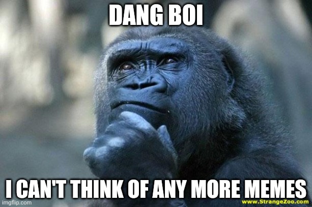 Deep Thoughts | DANG BOI; I CAN'T THINK OF ANY MORE MEMES | image tagged in deep thoughts | made w/ Imgflip meme maker