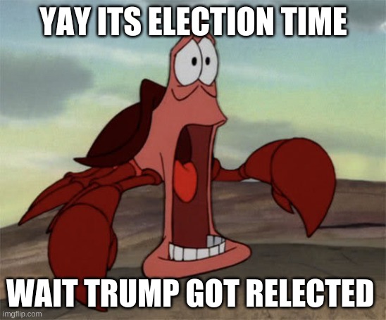 Trump Sucks | YAY ITS ELECTION TIME; WAIT TRUMP GOT RELECTED | image tagged in bad luck | made w/ Imgflip meme maker