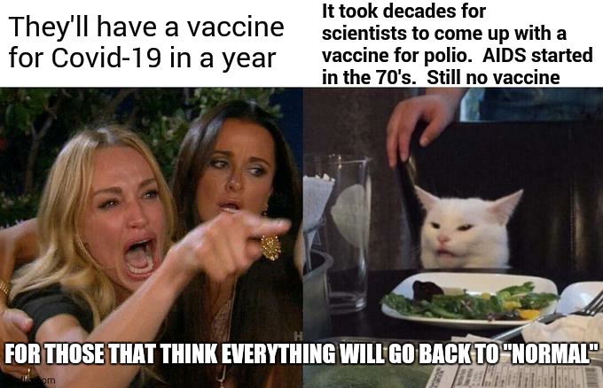 No One Can Ever Go Back In Time.  It's Time You Get Over That Delusion.  We Start From Here And NOW | It took decades for scientists to come up with a vaccine for polio.  AIDS started in the 70's.  Still no vaccine; They'll have a vaccine for Covid-19 in a year; FOR THOSE THAT THINK EVERYTHING WILL GO BACK TO "NORMAL" | image tagged in memes,woman yelling at cat,covid-19,coronavirus,time travel,get over it | made w/ Imgflip meme maker
