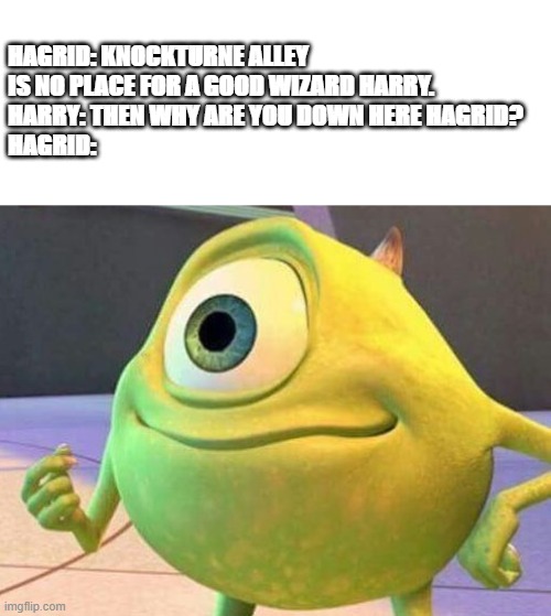Mike Wazowsky | HAGRID: KNOCKTURNE ALLEY IS NO PLACE FOR A GOOD WIZARD HARRY.
HARRY: THEN WHY ARE YOU DOWN HERE HAGRID?
HAGRID: | image tagged in mike wazowsky | made w/ Imgflip meme maker