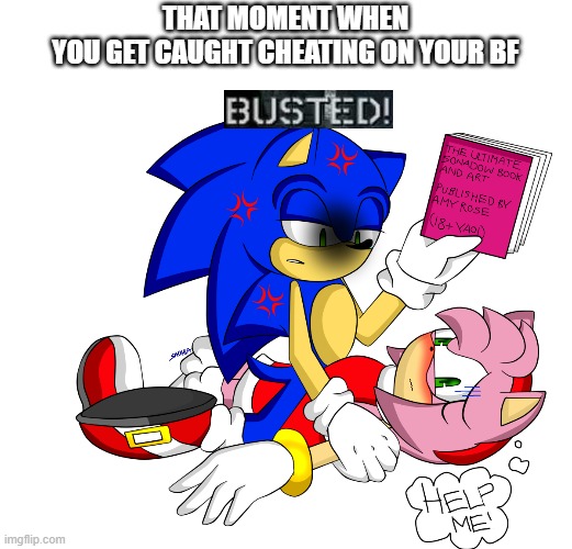 Busted! | THAT MOMENT WHEN
YOU GET CAUGHT CHEATING ON YOUR BF | image tagged in busted,screwed,cheating,memes,sonic the hedgehog | made w/ Imgflip meme maker