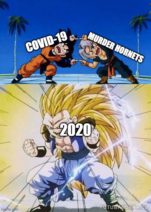 Fu-sion-HAAAAAAA! | MURDER HORNETS; COVID-19; 2020 | image tagged in dragon ball z fusion,dragon ball,covid-19,murder hornets,funny,memes | made w/ Imgflip meme maker
