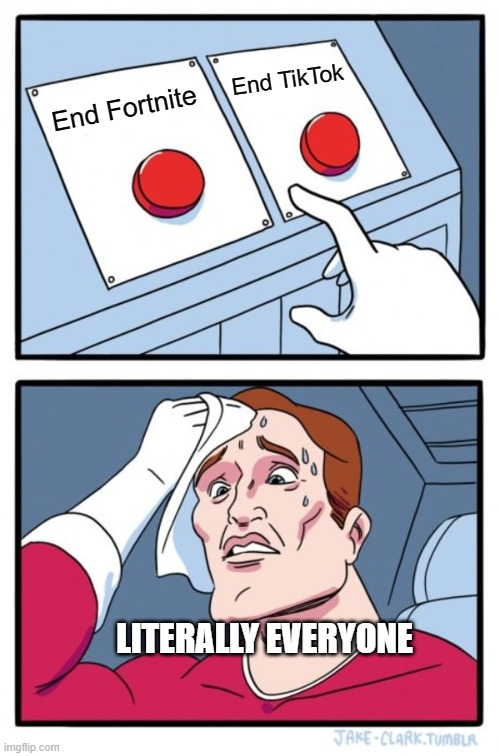 A very tough decision | End TikTok; End Fortnite; LITERALLY EVERYONE | image tagged in memes,two buttons | made w/ Imgflip meme maker