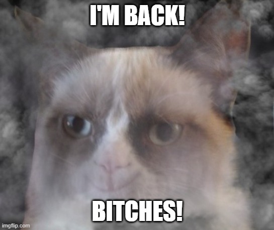 oh no | I'M BACK! BITCHES! | image tagged in grumpy cat,ghost | made w/ Imgflip meme maker