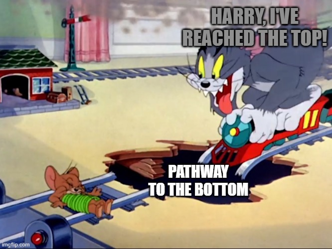 Home Alone Portrayed by Tom and Jerry | HARRY, I'VE REACHED THE TOP! PATHWAY TO THE BOTTOM | image tagged in tom and jerry train,home alone,funny | made w/ Imgflip meme maker