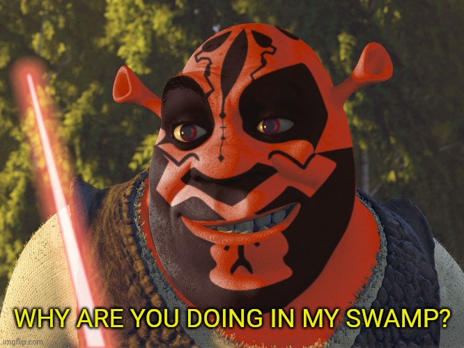 I was looking for Kenobi | WHY ARE YOU DOING IN MY SWAMP? | image tagged in memes,funny,star wars,clone wars,shrek,darth maul | made w/ Imgflip meme maker