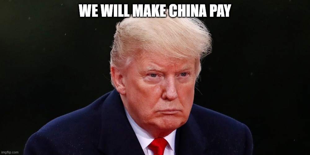 Donald Trump | WE WILL MAKE CHINA PAY | image tagged in donald trump,china,covid-19 | made w/ Imgflip meme maker