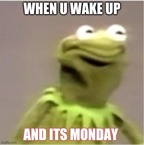 Kirmit Triggerd | WHEN U WAKE UP; AND ITS MONDAY | image tagged in kirmit triggerd | made w/ Imgflip meme maker