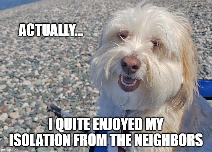 Actually Dog: Isolation | I QUITE ENJOYED MY ISOLATION FROM THE NEIGHBORS | image tagged in actually dog | made w/ Imgflip meme maker