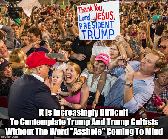 "It Is Increasingly Difficult To Contemplate Trump And His Cultists Without..." | It Is Increasingly Difficult 
To Contemplate Trump And Trump Cultists Without The Word "Asshole" Coming To Mind | image tagged in devious donald,despicable donald,deplorable donald,dishonest donald,mendacious donald,tricky trumpy humple dumple | made w/ Imgflip meme maker