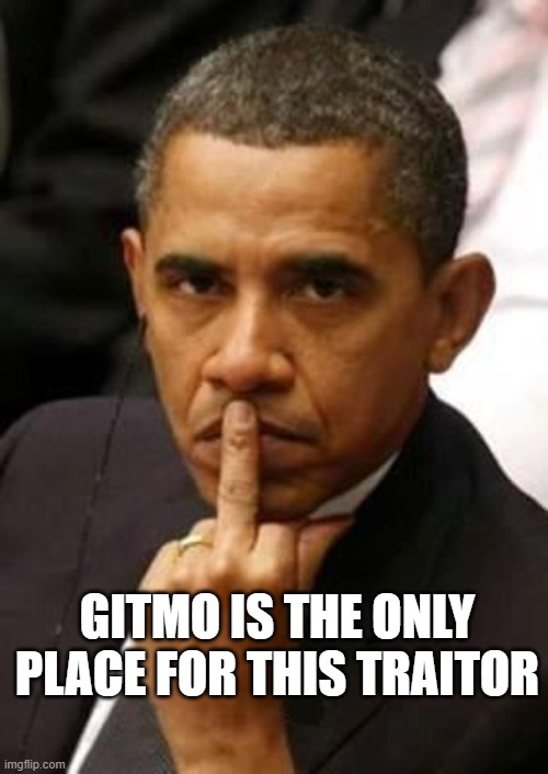 obama belongs in Gitmo | GITMO IS THE ONLY PLACE FOR THIS TRAITOR | image tagged in obama middle finger | made w/ Imgflip meme maker