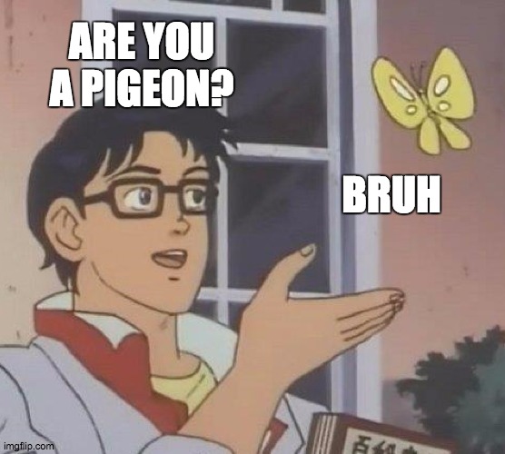 Pigeon | ARE YOU A PIGEON? BRUH | image tagged in memes,is this a pigeon | made w/ Imgflip meme maker