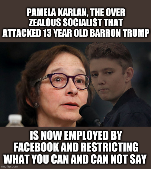 Pamela Karlan | PAMELA KARLAN, THE OVER ZEALOUS SOCIALIST THAT ATTACKED 13 YEAR OLD BARRON TRUMP; IS NOW EMPLOYED BY FACEBOOK AND RESTRICTING WHAT YOU CAN AND CAN NOT SAY | image tagged in pamela karlan,kaelan,facebook,fb | made w/ Imgflip meme maker