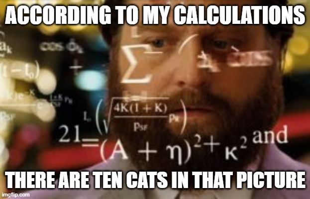 Trying to calculate how much sleep I can get | ACCORDING TO MY CALCULATIONS THERE ARE TEN CATS IN THAT PICTURE | image tagged in trying to calculate how much sleep i can get | made w/ Imgflip meme maker