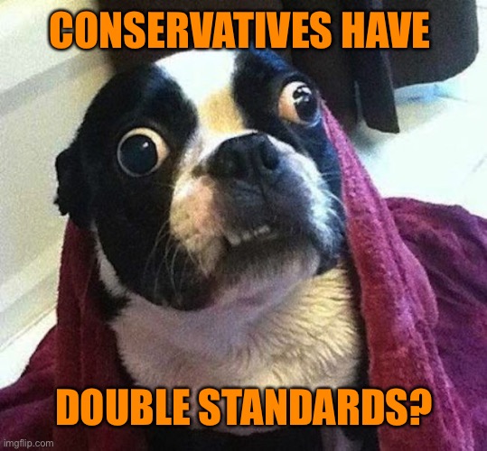 CONSERVATIVES HAVE DOUBLE STANDARDS? | made w/ Imgflip meme maker