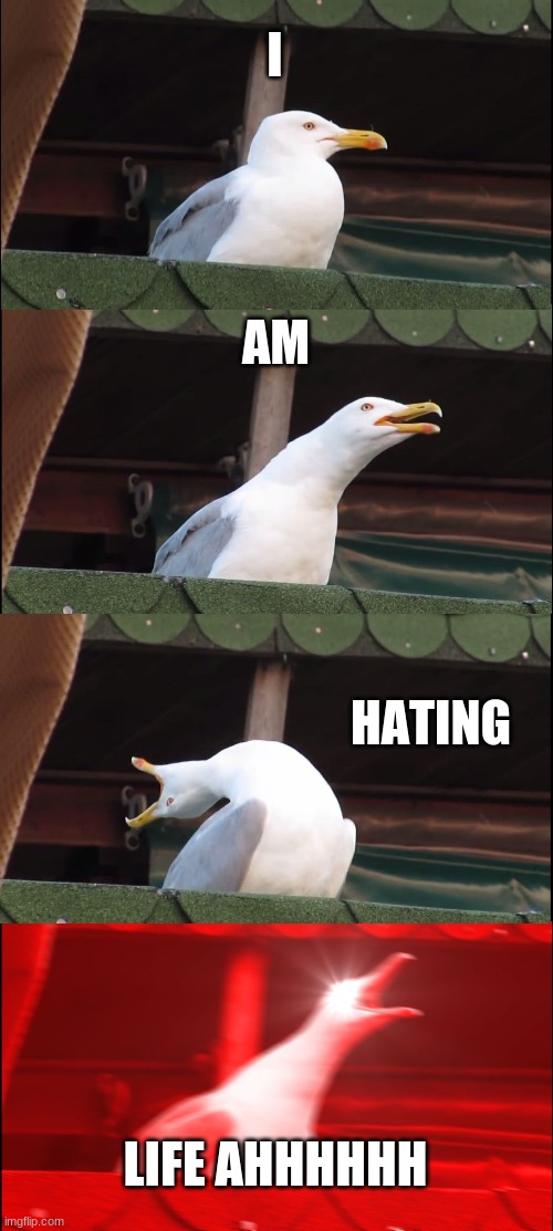 Inhaling Seagull Meme | I; AM; HATING; LIFE AHHHHHH | image tagged in memes,inhaling seagull | made w/ Imgflip meme maker