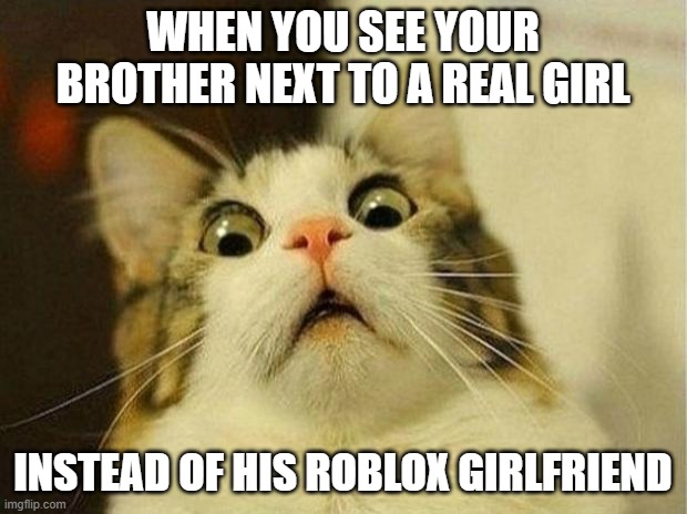 Cats | WHEN YOU SEE YOUR BROTHER NEXT TO A REAL GIRL; INSTEAD OF HIS ROBLOX GIRLFRIEND | image tagged in memes,scared cat | made w/ Imgflip meme maker