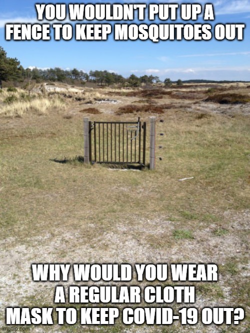 Useless fence | YOU WOULDN'T PUT UP A FENCE TO KEEP MOSQUITOES OUT; WHY WOULD YOU WEAR A REGULAR CLOTH MASK TO KEEP COVID-19 OUT? | image tagged in useless fence,covid-19,mask | made w/ Imgflip meme maker