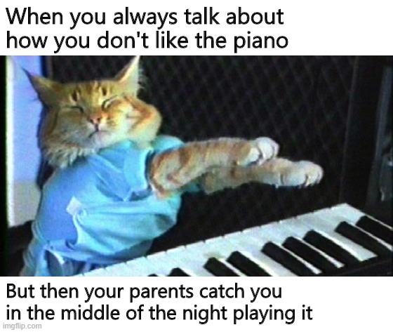 Piano cat | When you always talk about how you don't like the piano; But then your parents catch you in the middle of the night playing it | image tagged in piano cat | made w/ Imgflip meme maker