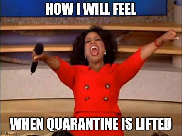 :) | HOW I WILL FEEL; WHEN QUARANTINE IS LIFTED | image tagged in memes,oprah you get a | made w/ Imgflip meme maker