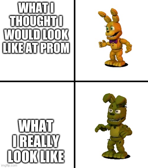 Expectations vs Reality (FNaF World Edit) | WHAT I THOUGHT I WOULD LOOK LIKE AT PROM; WHAT I REALLY LOOK LIKE | image tagged in expectations vs reality fnaf world edit | made w/ Imgflip meme maker