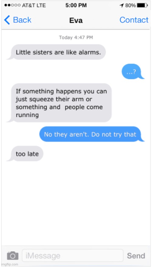 Sister alarm | image tagged in sister,text,memes,too late | made w/ Imgflip meme maker