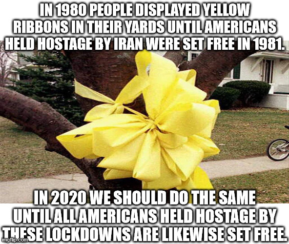"We're really still in prison, but the governors hold the key..." | IN 1980 PEOPLE DISPLAYED YELLOW RIBBONS IN THEIR YARDS UNTIL AMERICANS HELD HOSTAGE BY IRAN WERE SET FREE IN 1981. IN 2020 WE SHOULD DO THE SAME UNTIL ALL AMERICANS HELD HOSTAGE BY THESE LOCKDOWNS ARE LIKEWISE SET FREE. | image tagged in yellow ribbon,lockdown,covid-19,tyranny | made w/ Imgflip meme maker
