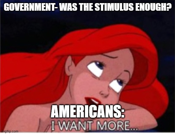 I want more... | GOVERNMENT- WAS THE STIMULUS ENOUGH? AMERICANS: | image tagged in i want more | made w/ Imgflip meme maker