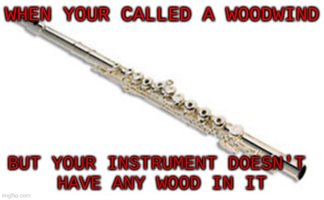 flute meme | WHEN YOUR CALLED A WOODWIND; BUT YOUR INSTRUMENT DOESN'T 
HAVE ANY WOOD IN IT | image tagged in flute | made w/ Imgflip meme maker