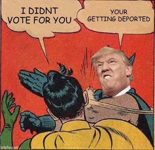 Batman Slapping Robin | I DIDNT VOTE FOR YOU; YOUR GETTING DEPORTED | image tagged in memes,batman slapping robin | made w/ Imgflip meme maker