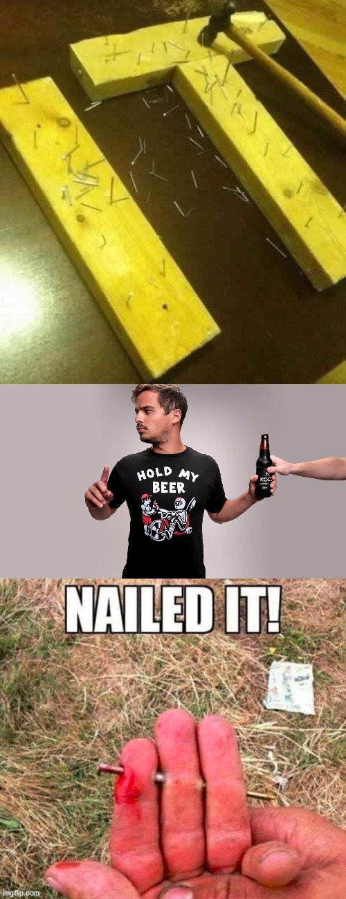 image tagged in nailed it,hold my beer | made w/ Imgflip meme maker